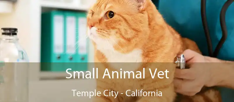 Small Animal Vet Temple City - California