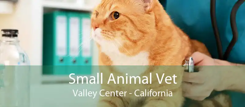 Small Animal Vet Valley Center - California