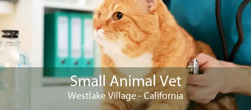 Small Animal Vet Westlake Village - California