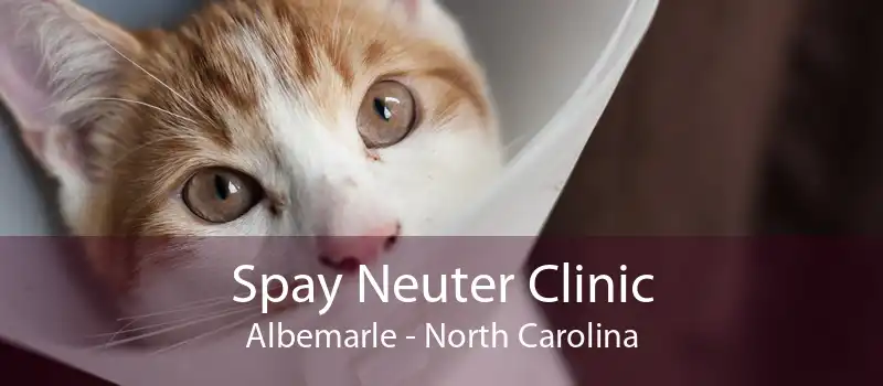 Spay Neuter Clinic Albemarle - North Carolina