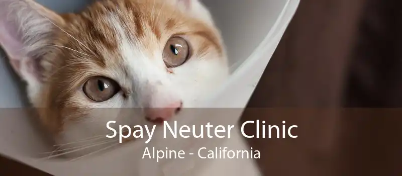 Spay Neuter Clinic Alpine - California