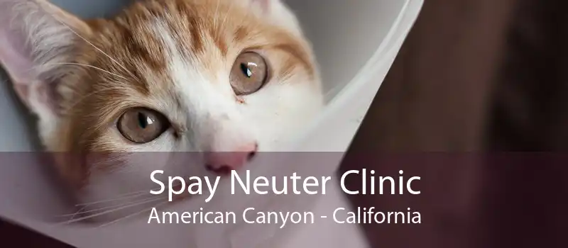 Spay Neuter Clinic American Canyon - California