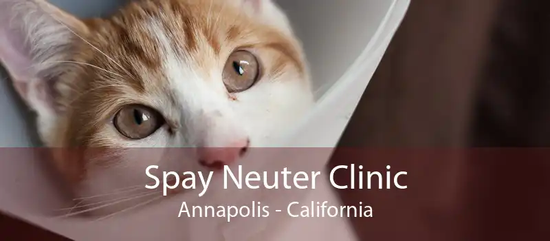 Spay Neuter Clinic Annapolis - California