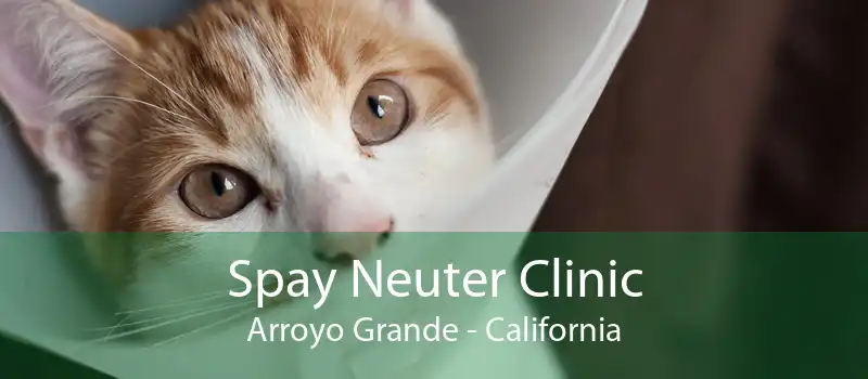 Spay Neuter Clinic Arroyo Grande - California