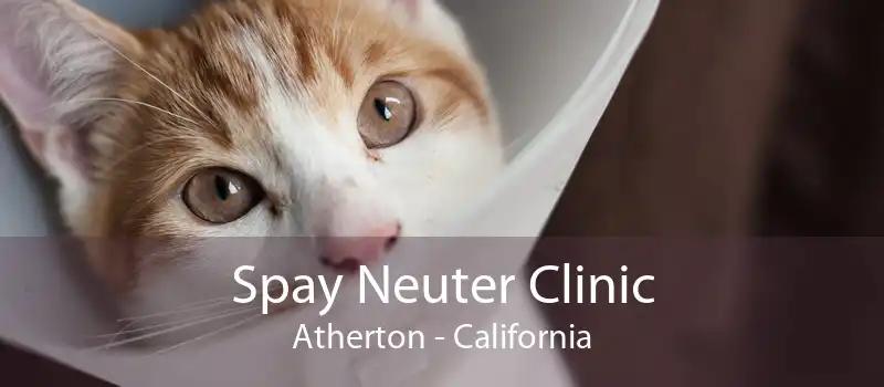 Spay Neuter Clinic Atherton - California