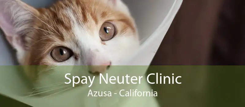 Spay Neuter Clinic Azusa - California
