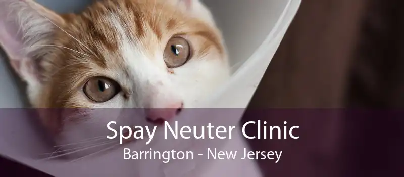 Spay Neuter Clinic Barrington - New Jersey