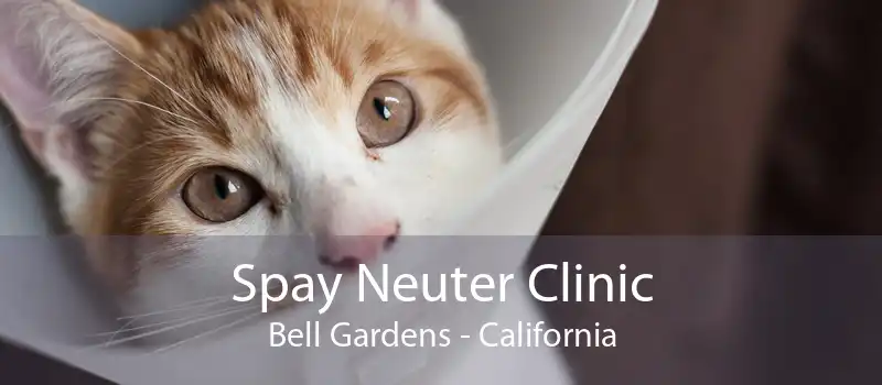 Spay Neuter Clinic Bell Gardens - California