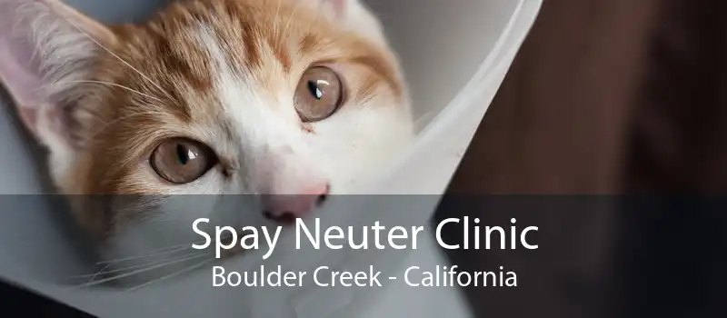 Spay Neuter Clinic Boulder Creek - California