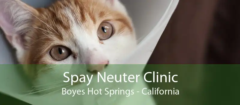 Spay Neuter Clinic Boyes Hot Springs - California