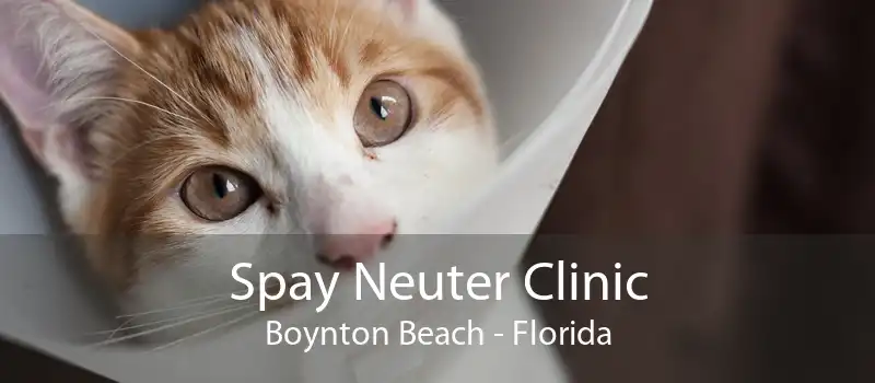 Spay Neuter Clinic Boynton Beach - Florida