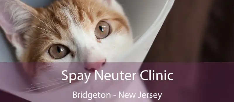 Spay Neuter Clinic Bridgeton - New Jersey