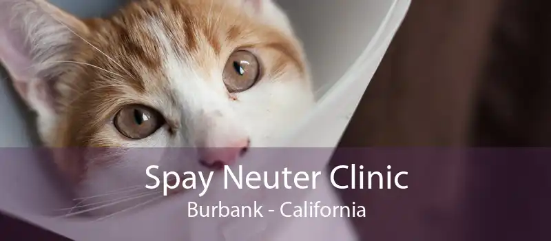 Spay Neuter Clinic Burbank - California