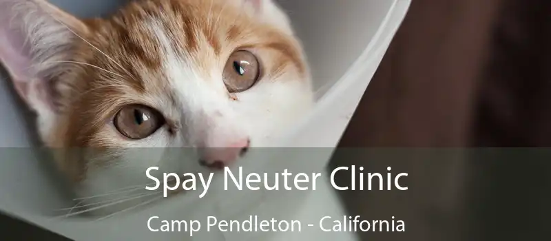Spay Neuter Clinic Camp Pendleton - California