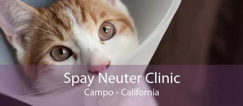 Spay Neuter Clinic Campo - California