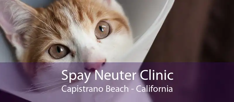 Spay Neuter Clinic Capistrano Beach - California