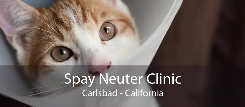 Spay Neuter Clinic Carlsbad - California