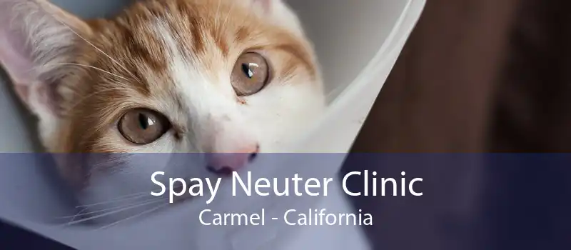 Spay Neuter Clinic Carmel - California
