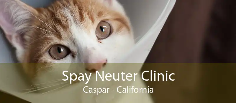 Spay Neuter Clinic Caspar - California