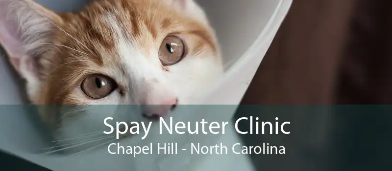 Spay Neuter Clinic Chapel Hill - North Carolina