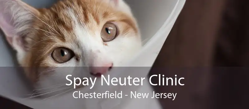Spay Neuter Clinic Chesterfield - New Jersey
