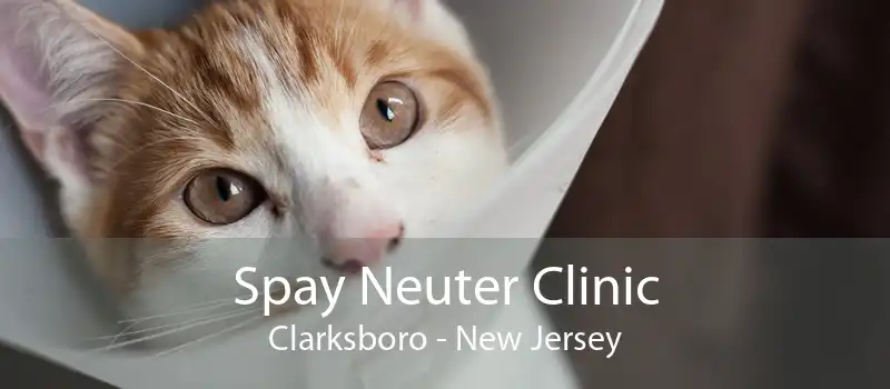 Spay Neuter Clinic Clarksboro - New Jersey