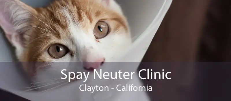 Spay Neuter Clinic Clayton - California