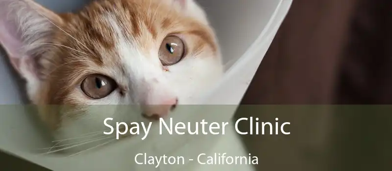 Spay Neuter Clinic Clayton - California