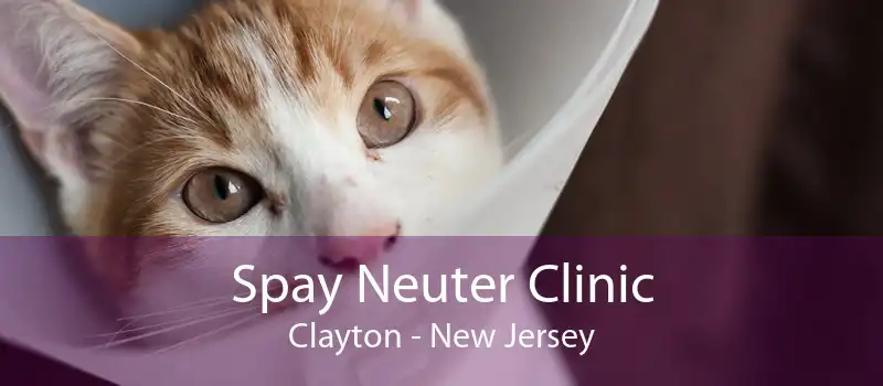 Spay Neuter Clinic Clayton - New Jersey