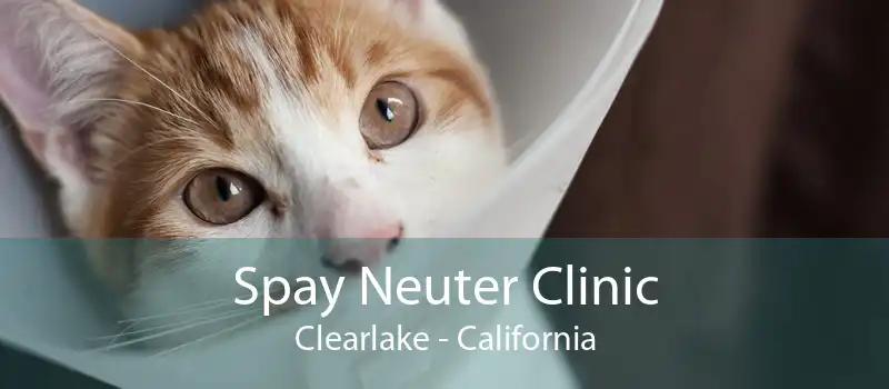 Spay Neuter Clinic Clearlake - California