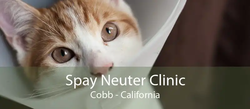 Spay Neuter Clinic Cobb - California