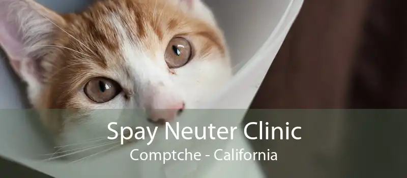 Spay Neuter Clinic Comptche - California