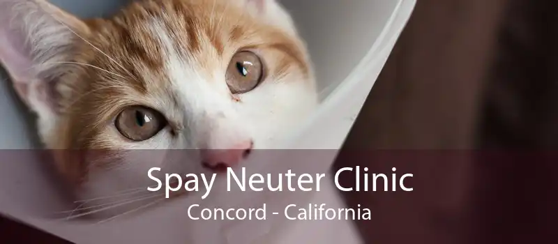 Spay Neuter Clinic Concord - California