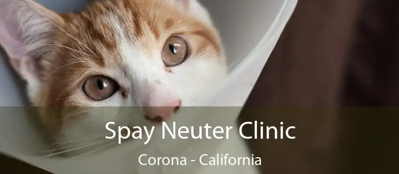 Spay Neuter Clinic Corona - California