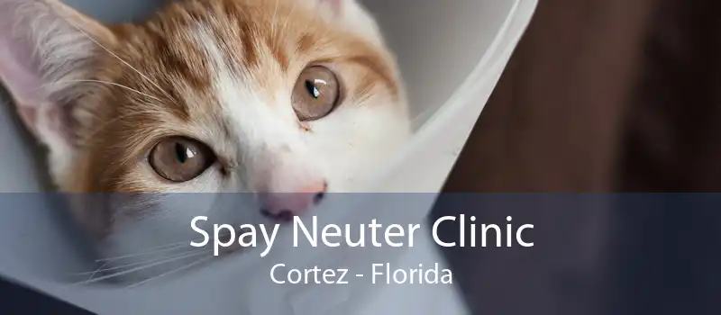 Spay Neuter Clinic Cortez - Florida