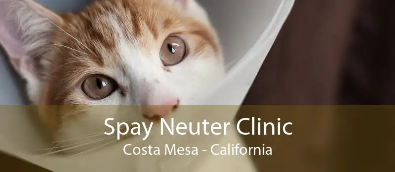 Spay Neuter Clinic Costa Mesa - California