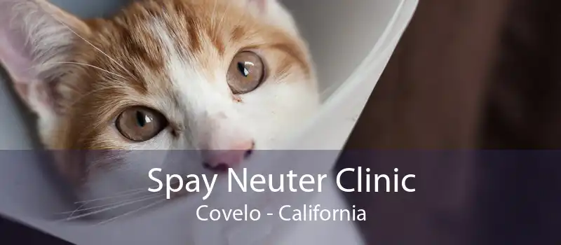 Spay Neuter Clinic Covelo - California