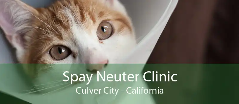Spay Neuter Clinic Culver City - California