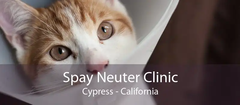 Spay Neuter Clinic Cypress - California