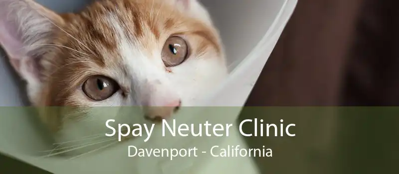 Spay Neuter Clinic Davenport - California