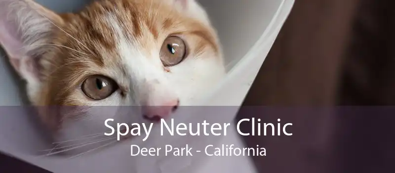 Spay Neuter Clinic Deer Park - California