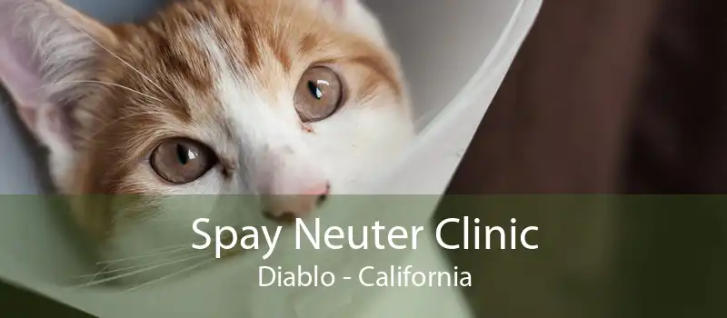 Spay Neuter Clinic Diablo - California