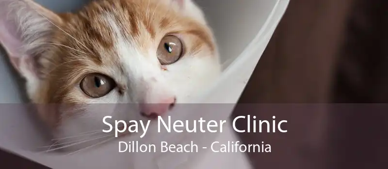Spay Neuter Clinic Dillon Beach - California