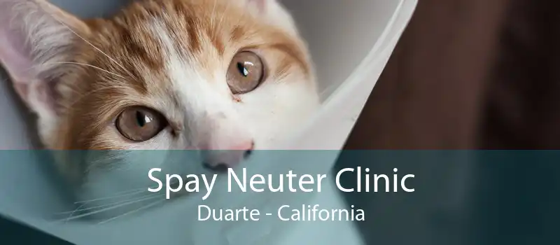 Spay Neuter Clinic Duarte - California