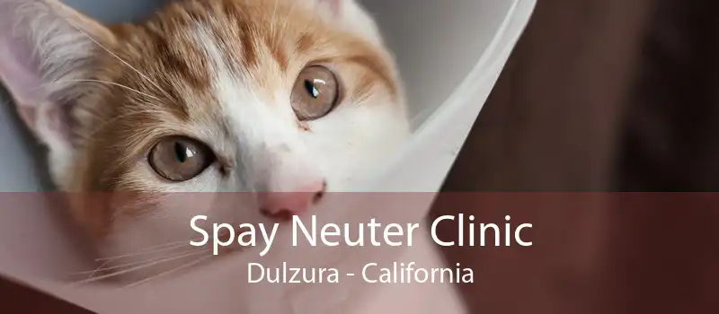Spay Neuter Clinic Dulzura - California