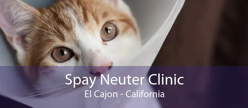 Spay Neuter Clinic El Cajon - California