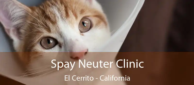 Spay Neuter Clinic El Cerrito - California