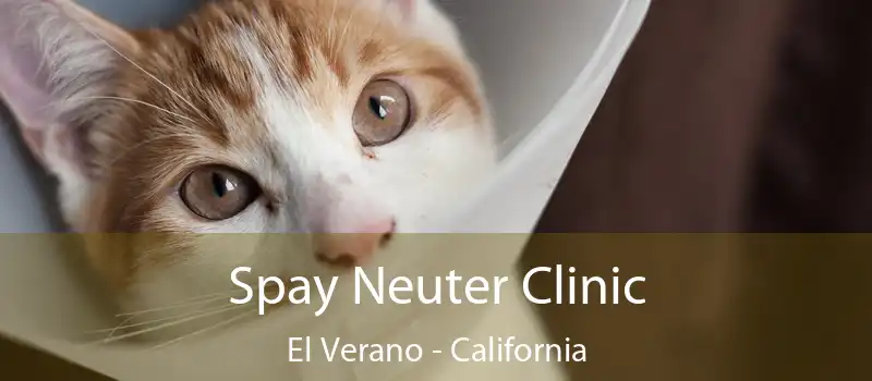 Spay Neuter Clinic El Verano - California