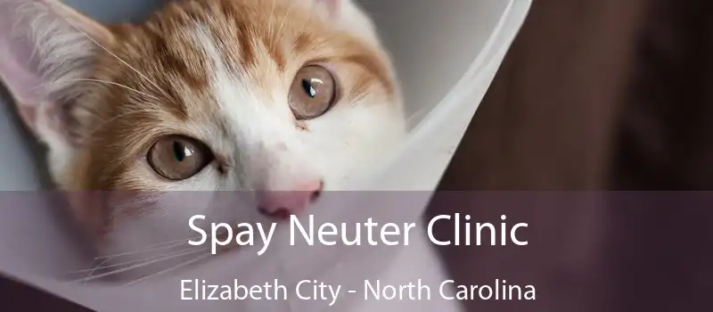 Spay Neuter Clinic Elizabeth City - North Carolina