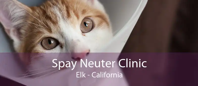 Spay Neuter Clinic Elk - California